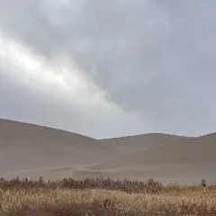 李广记杏皮茶 User Photo