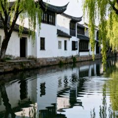 SU WAI PO User Photo