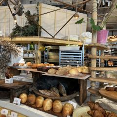 Dacomecca張用戶圖片