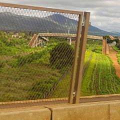 Seasons Elementaita Country Lodge User Photo