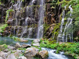 Dashbashi Canyon