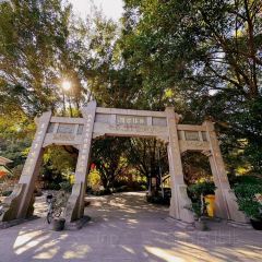 桃溪老醋坊 User Photo