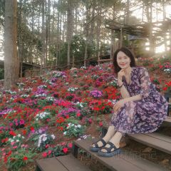 Still cafe User Photo