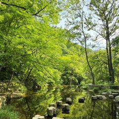 香山园农家饭庄 User Photo