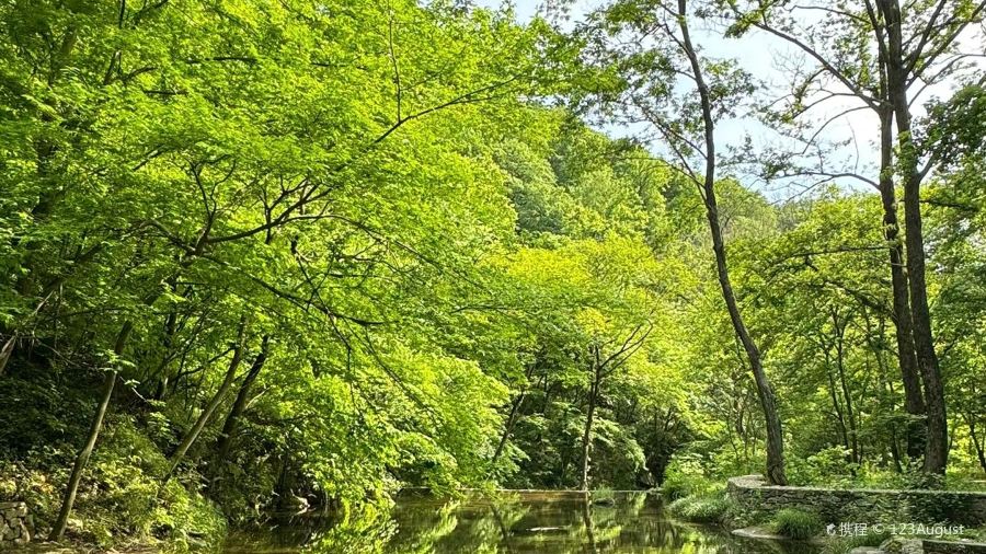 香山园农家饭庄