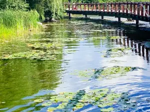 Lake Wilcox Park