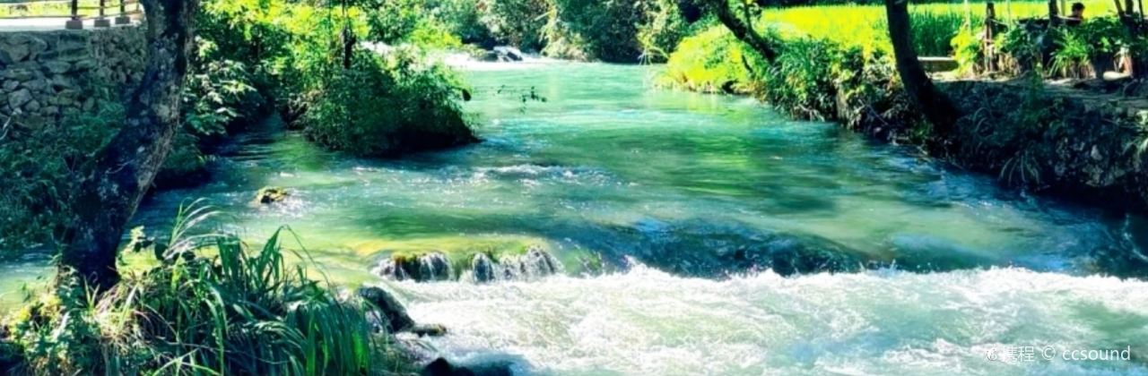 DA MU ZHI NIU ROU FEN