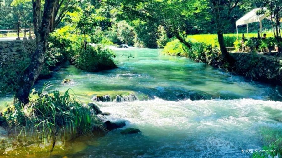 DA MU ZHI NIU ROU FEN