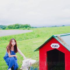 Lake Hill Farm User Photo