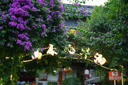 青城高原牦牛汤·川西特色火锅(总店)