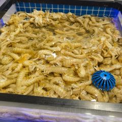 圣保罗自助海鲜烤肉店(兴城店) User Photo