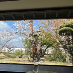 Tsujirihei Honten User Photo