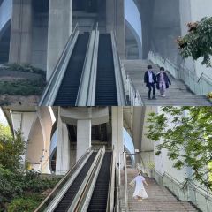 年白老火锅(铜元道店) User Photo