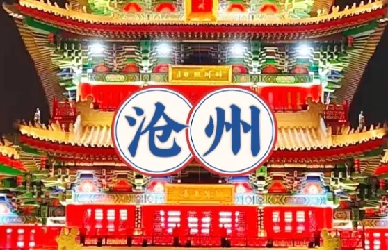 0317火鍋雞(正達旗艦店)