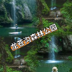 荥经龙苍景园民宿(龙苍沟国家森林公园店)·农家乐 여행 사진