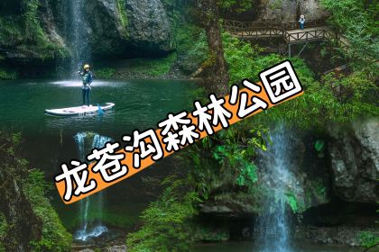 荥经龙苍景园民宿(龙苍沟国家森林公园店)·农家乐