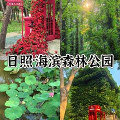 喜遇海漁家·海鮮大咖（萬平口店）張用戶圖片