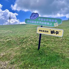 Huaguoshannongzhuang User Photo