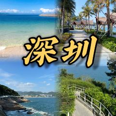 BUFFALO MILK QUEEN SUGAR WATER SHOP User Photo