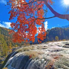 阿妈家特色藏餐(九寨沟店) User Photo