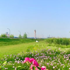 PURPLE MOUNTAIN GARDEN User Photo