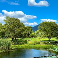 PURPLE MOUNTAIN GARDEN User Photo