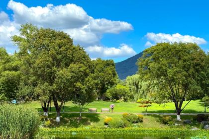PURPLE MOUNTAIN GARDEN