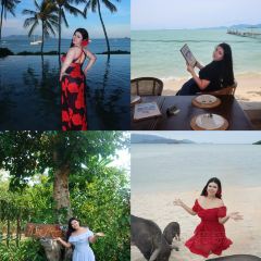 Sabienglae lamai張用戶圖片