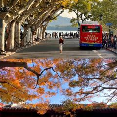 CONG BAO HUI User Photo