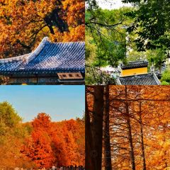 JINPENG SHOPKEEPER User Photo