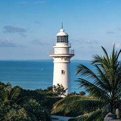 SURF GRAVITY User Photo