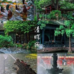 容边排骨饭 User Photo