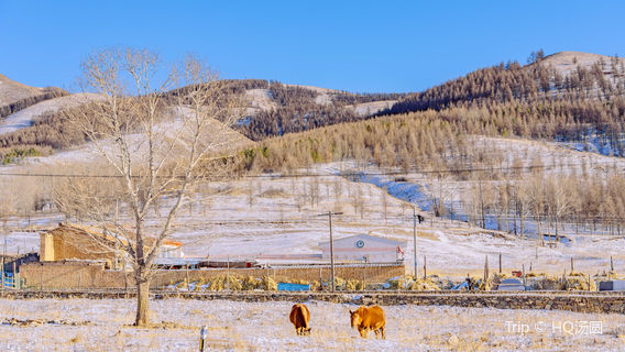 hong shi ya feng jing qu