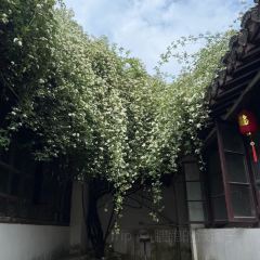 ZHUA FAN YU JIAN NANG KEN ROU User Photo