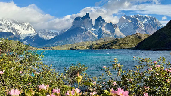 Camping Lago Pehoe