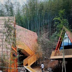 余姚树蛙部落中餐厅 User Photo