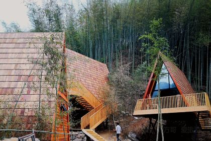 余姚树蛙部落中餐厅