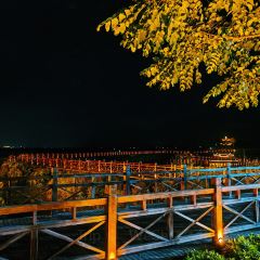 宝丽莱大酒楼 User Photo
