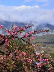 桃花山風景區