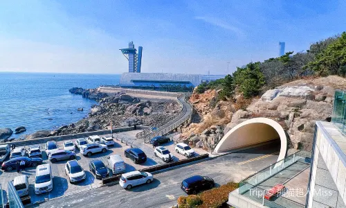 Blue Harbour Seafood Restaurant