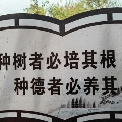 丹寨石桥纸居民宿·百节之乡花园餐厅 User Photo