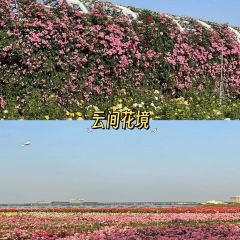 云间花境餐厅 User Photo
