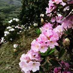 梨园三道菜 User Photo
