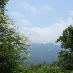 龙山餐厅 User Photo
