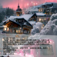 HAI JI DAO ZI ZHU CAN TING User Photo