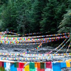 德欽雨崩山語民宿·野奢帳篷營地張用戶圖片