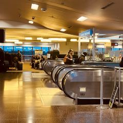 Dish D'lish User Photo