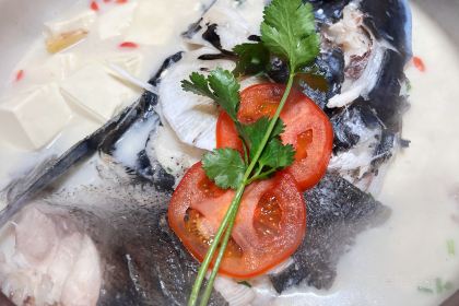 全乐鱼馆·淳牌有机鱼直营店