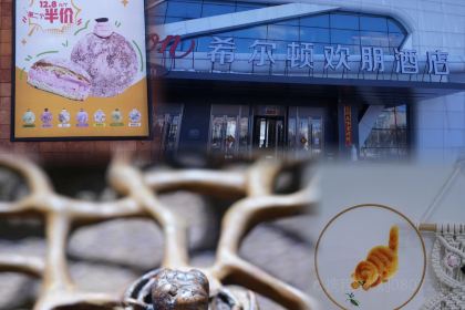 美食乐(龙新店)