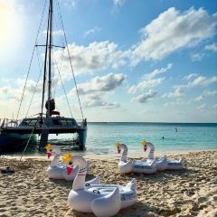 The Cracked Conch by the Sea User Photo